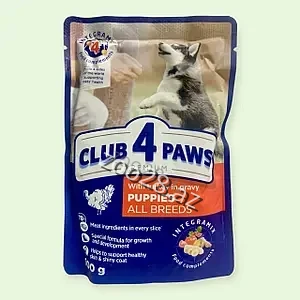 Club 4 Paws Корм для щенков всех пород с индейкой в соусе 100 г - Собаки | Zoo28.az