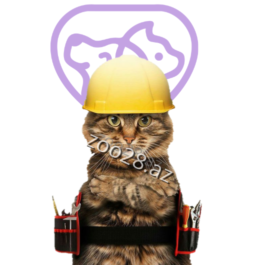 Our Online Site Will Be Available Soon