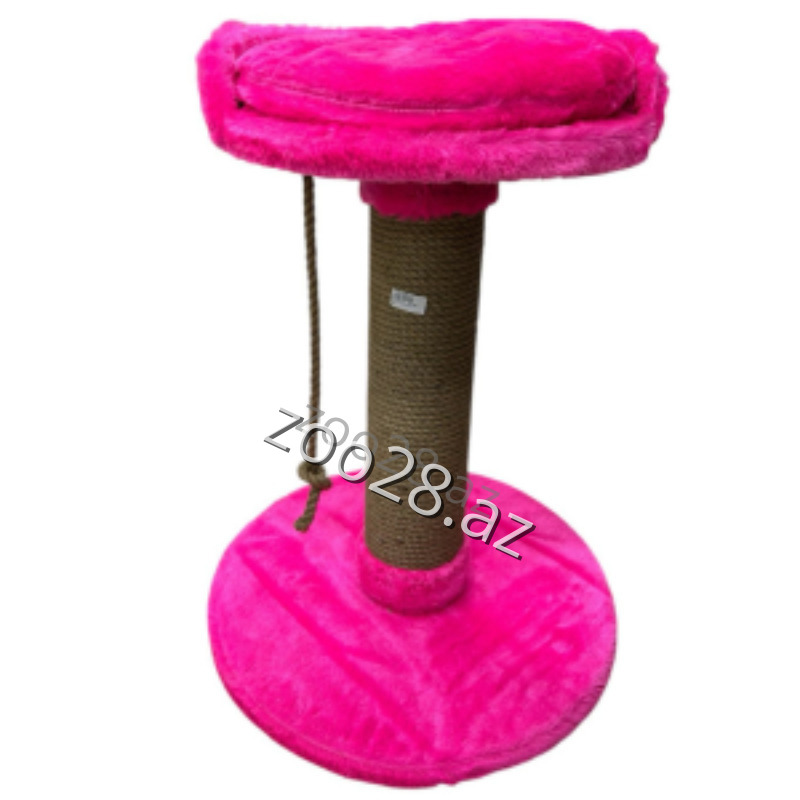 Zoo Mir Kompleks Dırnaqyonan - Pişiklər | Zoo28.az