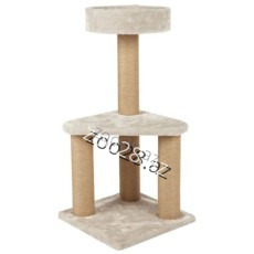 Trixie İvan Kompleks - Pişiklər