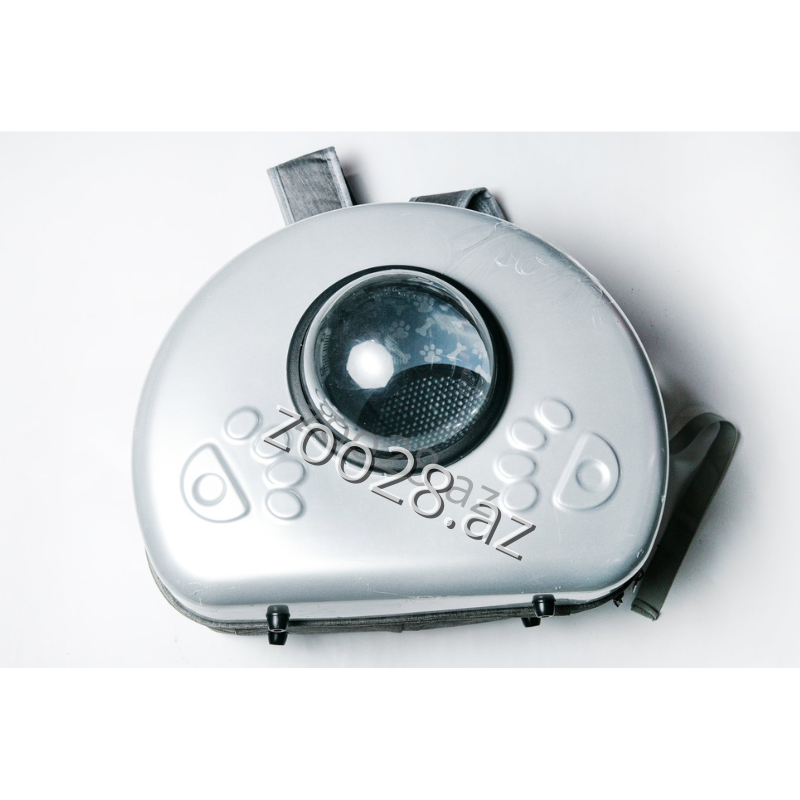 Çanta Plastik #2 - Pişiklər | Zoo28.az