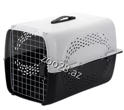 Plastic Container 303-53 - Dogs | Zoo28.az