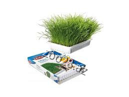 Trixie Cat Grass Rich Vitamins 100 gr - Pişiklər | Zoo28.az