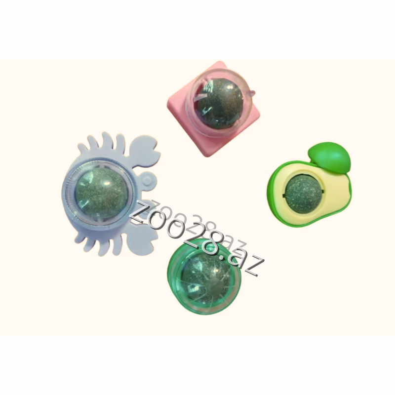 Single Cat Grass - Cats | Zoo28.az