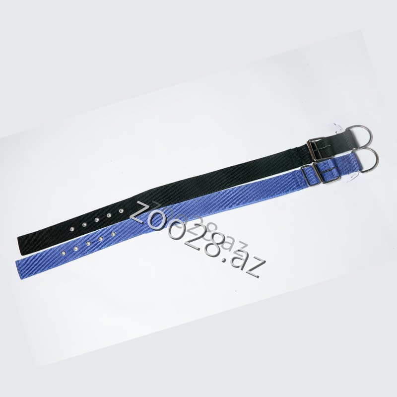 Xalta 12-1 - İtlər | Zoo28.az