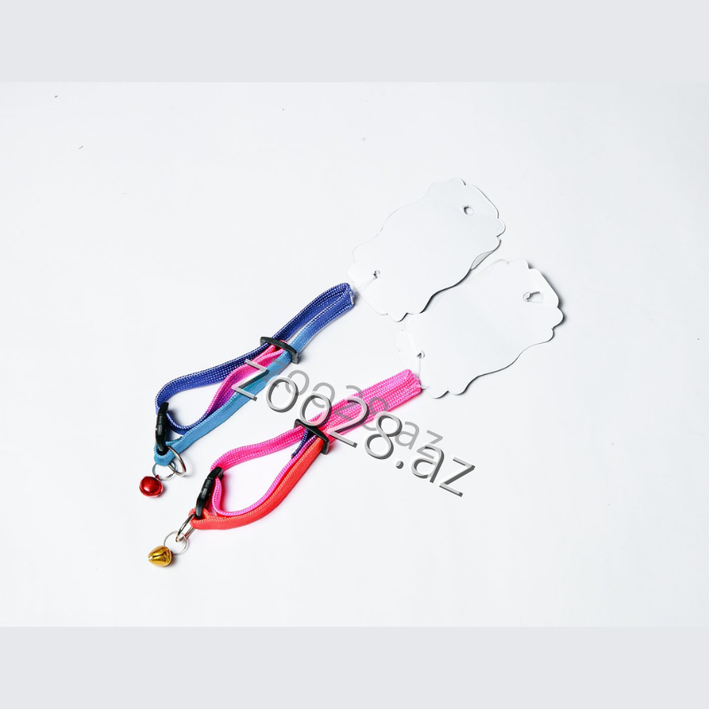 Xalta Rainbow - Cats | Zoo28.az