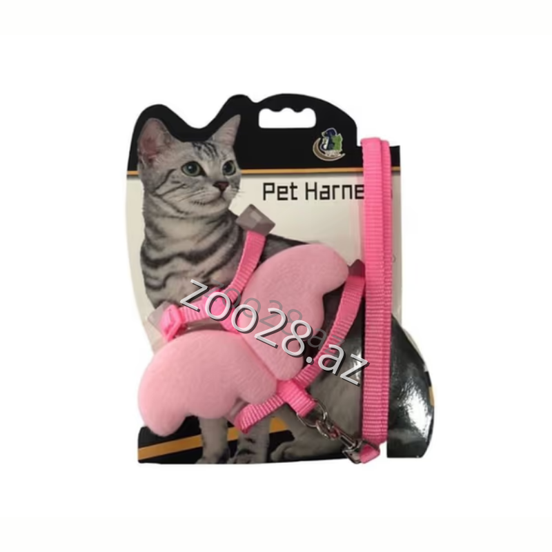 Pet Friendly Sinəlik 097-302 - Pişiklər | Zoo28.az