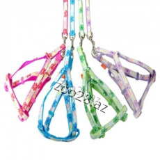 Sinəlik + Qayış 3-1 - İtlər