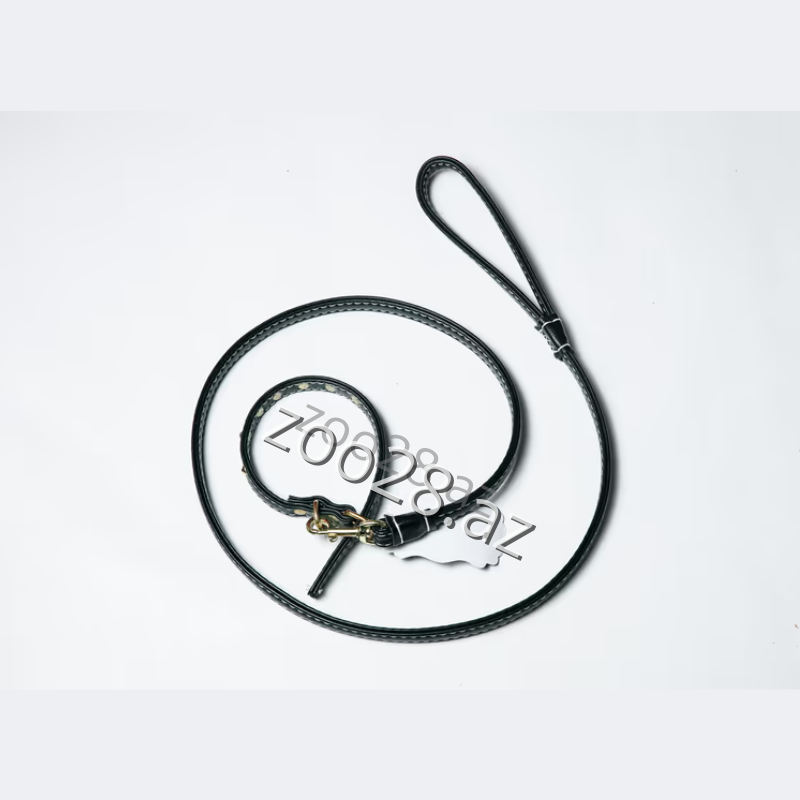 Dəri Qayış + Xalta - İtlər | Zoo28.az