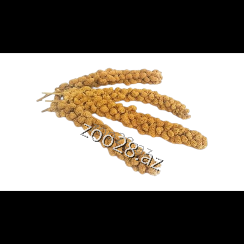 Millet, 1 piece - Birds | Zoo28.az