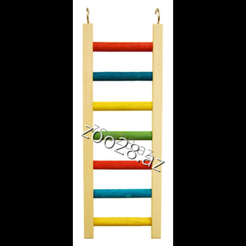 Деревянная Лестница - Птицы | Zoo28.az