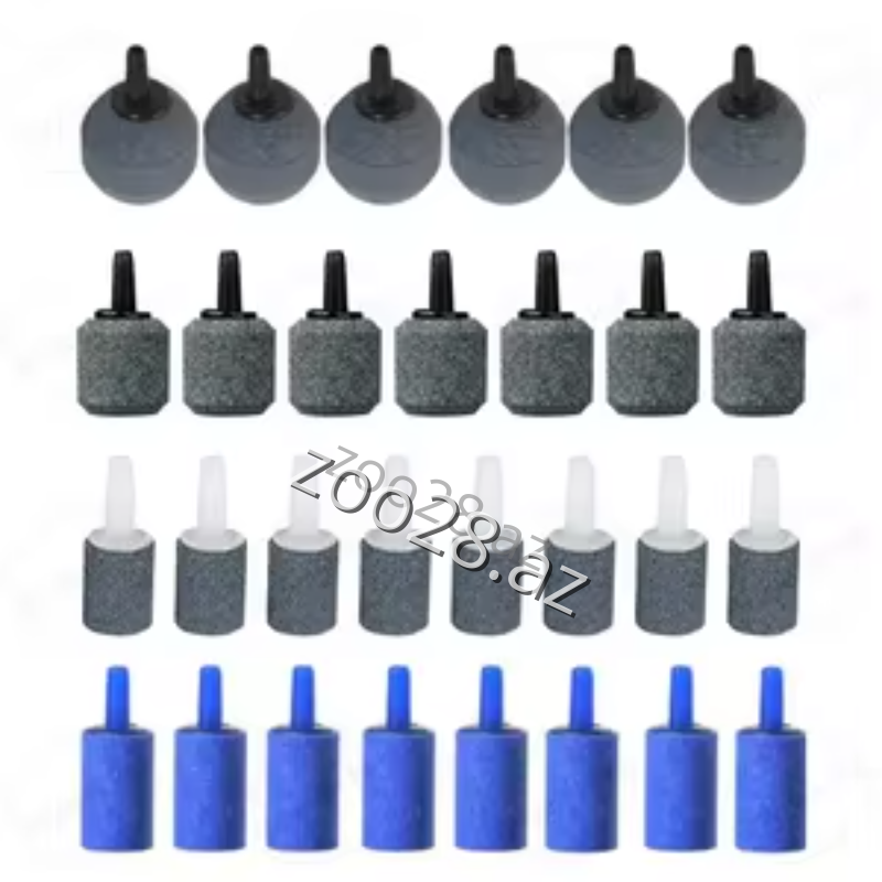 Hava Daşı,1 ədəd - Рыбы | Zoo28.az