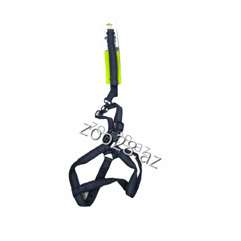 Brassiere + Belt Nunbell 2503-37 - Dogs | Zoo28.az