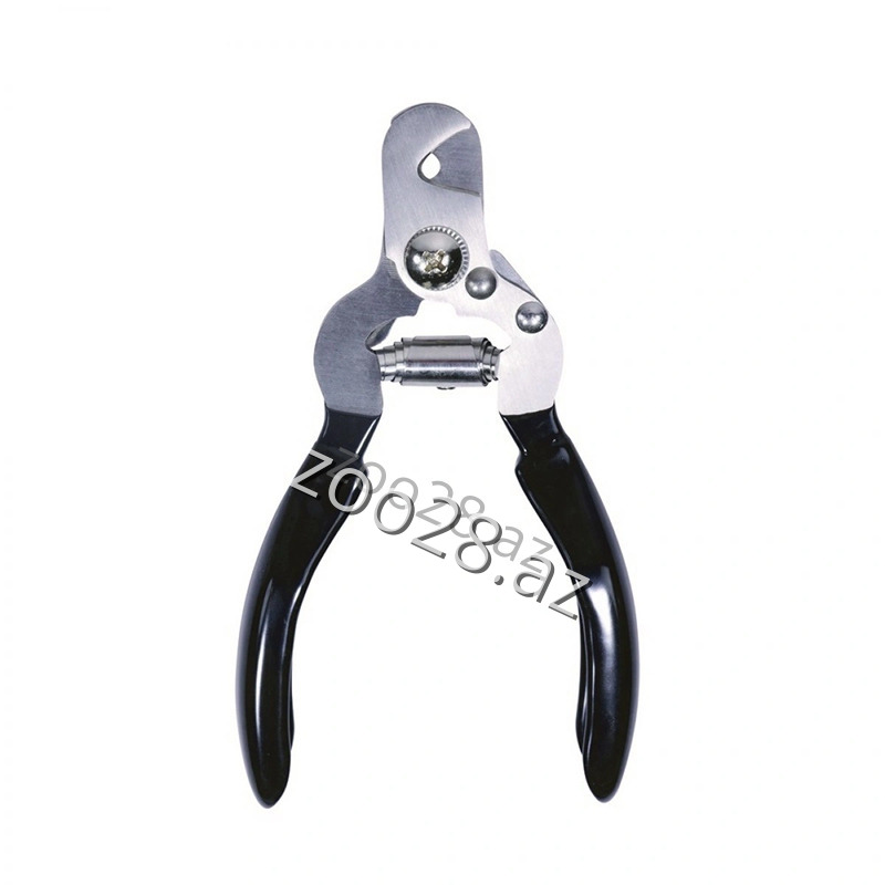 Qayci 7-1 - Pişiklər | Zoo28.az