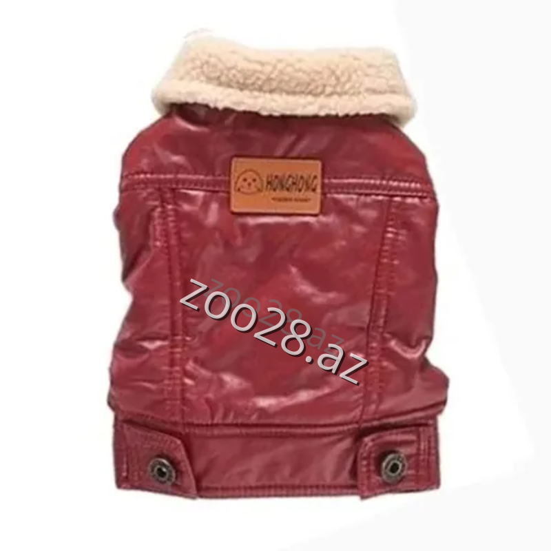 HongHong 140 Jacket Q - Dogs | Zoo28.az