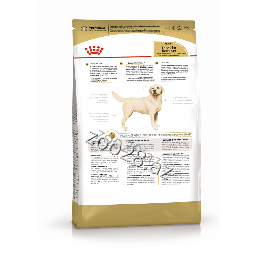 Royal Canin Labrador Retriver Adult - Собаки - Фото 2